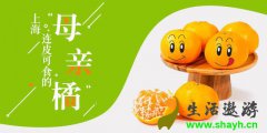 <b>连皮都好吃的上海本地柑橘 当年只卖</b>
