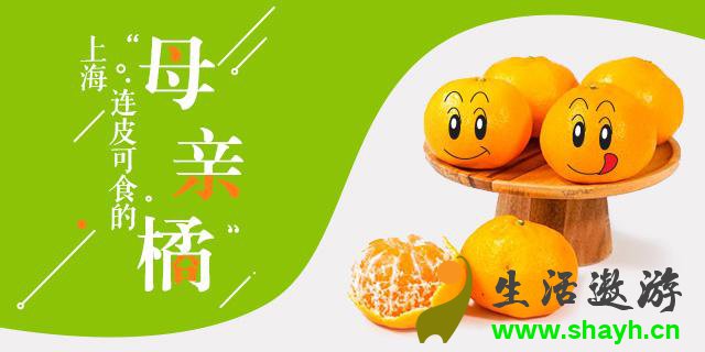连皮都好吃的上海本地柑橘 当年只卖5毛一斤都没人买
