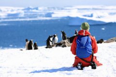 极地旅游市场需求井喷 高昂费用难挡游客“猎奇
