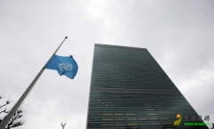 【一睹历史】联合国为哪些伟人降过半旗