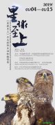 《星球至上—吕永胜野生动物摄影展》亮相中国摄影展览