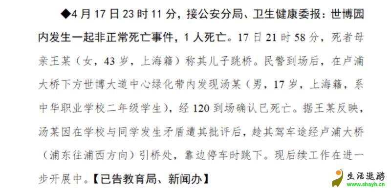 ​行车记录仪记录上海卢浦大桥一17岁男孩跳桥！